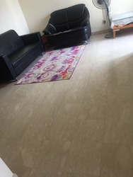 Carissa Park Condominium (D17), Condominium #177810232